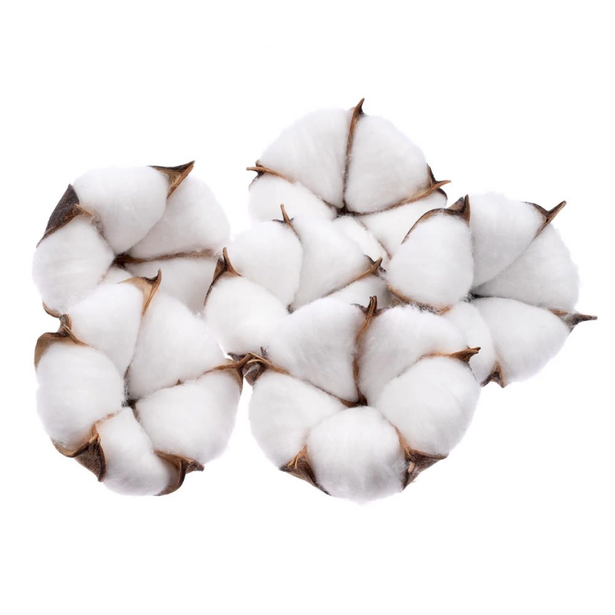 Цветок хлопка Cotton, белый фото 2
