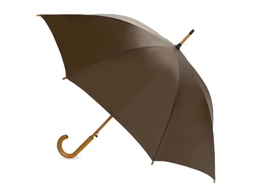Зонт-трость Радуга, коричневый фото 2