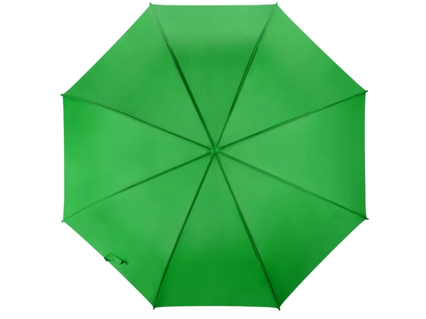 Зонт-трость Яркость, зеленое яблоко фото 4