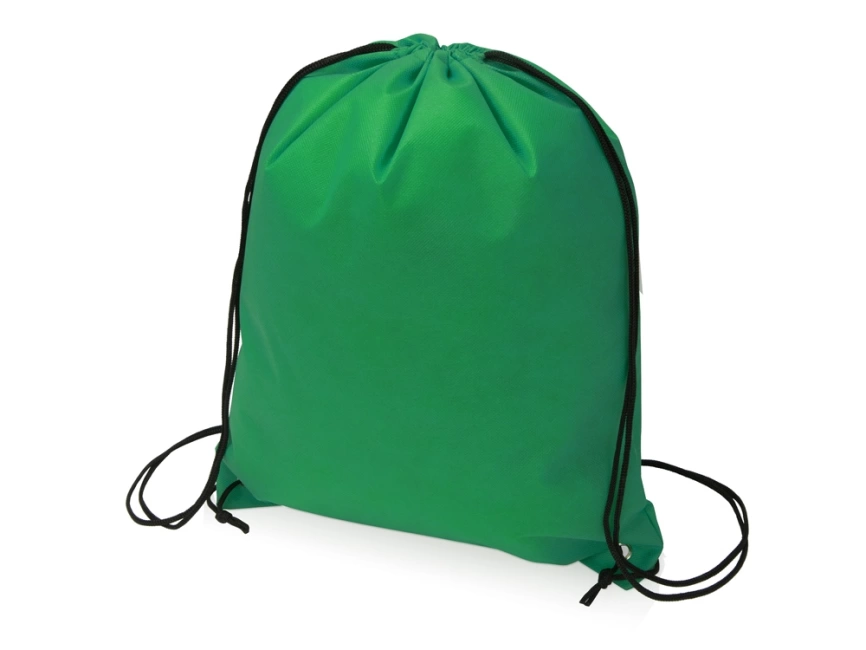 Рюкзак-мешок Пилигрим, зеленый фото 1