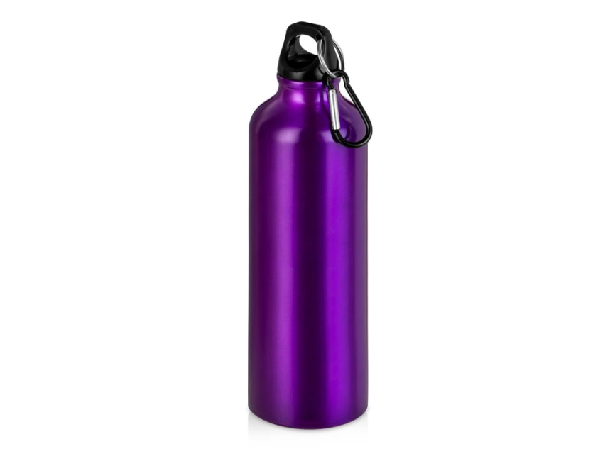 Бутылка Hip M с карабином, 770 мл, пурпурный фото 1