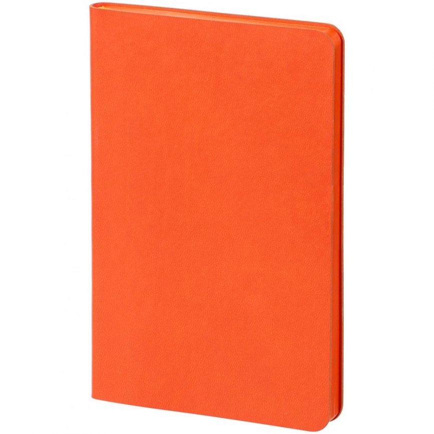 Ежедневник Neat Mini ver.1, недатированный, оранжевый фото 1