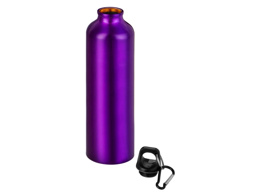 Бутылка Hip M с карабином, 770 мл, пурпурный фото 2