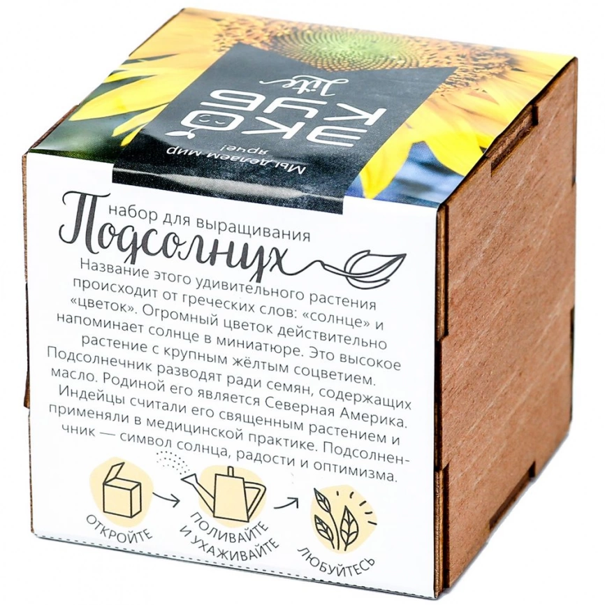 Набор для выращивания «Экокуб Lite», подсолнух фото 3