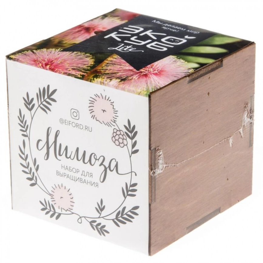 Набор для выращивания «Экокуб Lite», мимоза фото 6