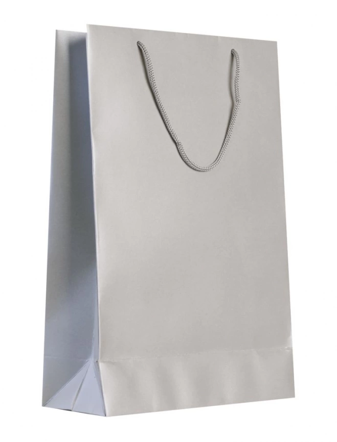 Пакет бумажный «Блеск», средний, серебристый фото 1