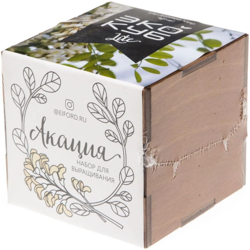 Набор для выращивания «Экокуб Lite», акация фото 6