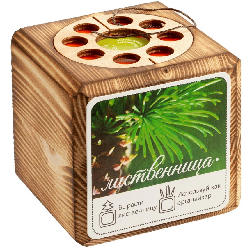 Набор для выращивания с органайзером «Экокуб Burn», лиственница фото 10