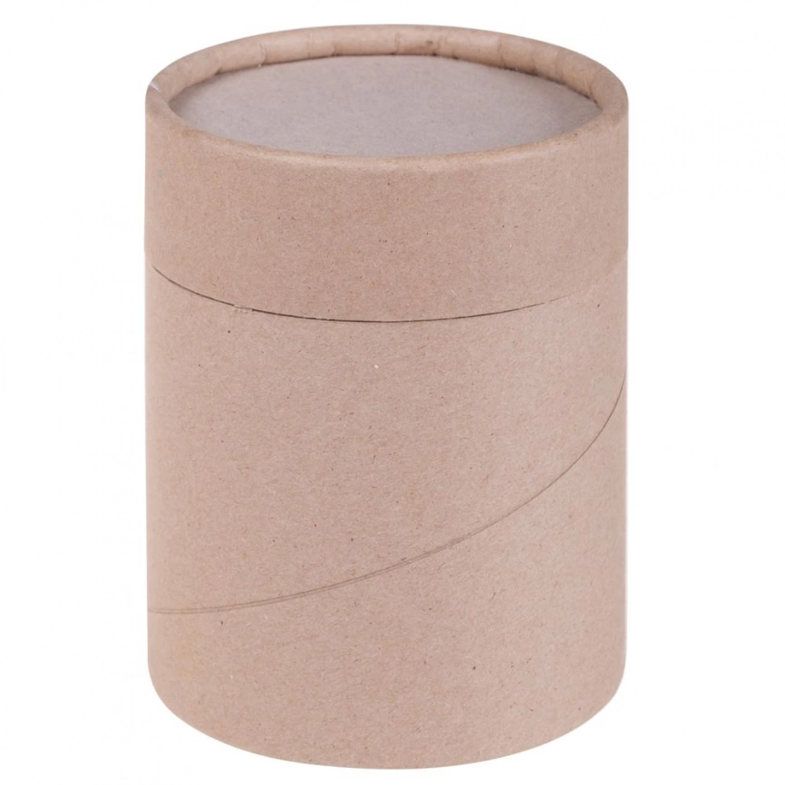 Тубус, крафт фото 1