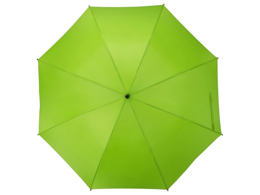 Зонт-трость Concord, полуавтомат, зеленое яблоко фото 5