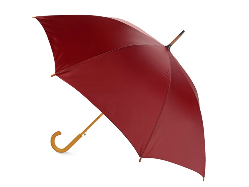 Зонт-трость Радуга, бордовый фото 2