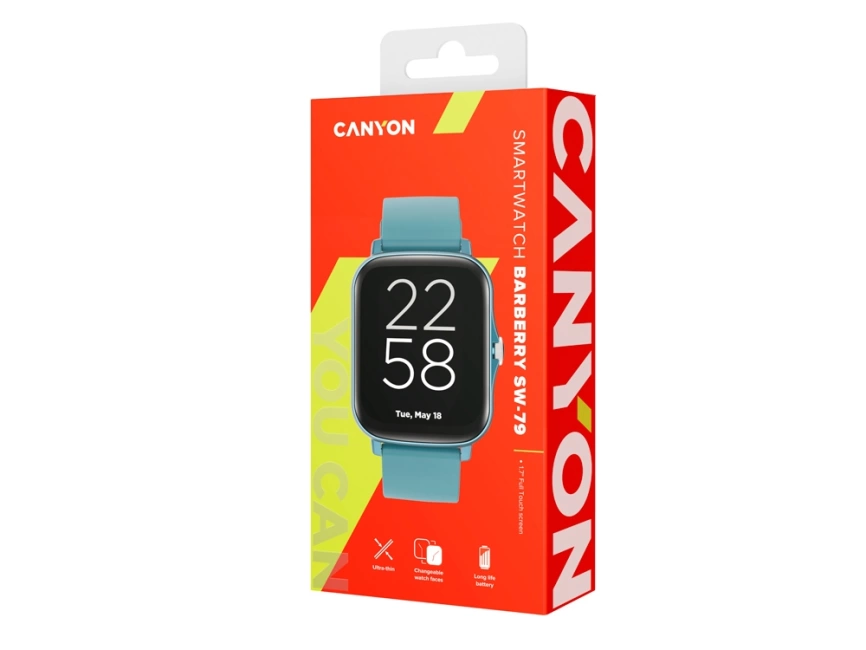 Умные часы CANYON Barberry SW-79, IP 67, BT 5.1, сенсорный дисплей 1.7, морская волна фото 6