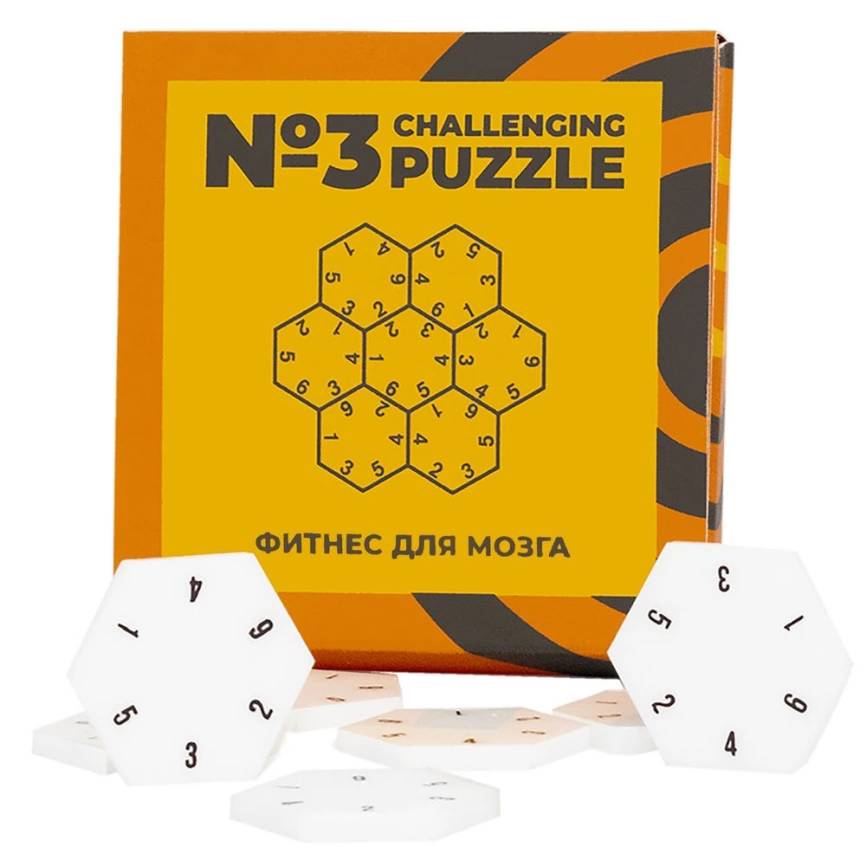 Головоломка Challenging Puzzle Acrylic, модель 3 фото 1