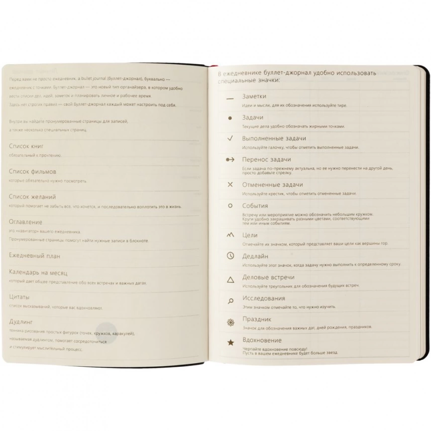 Ежедневник «Идеальное планирование», недатированный, бордовый фото 5