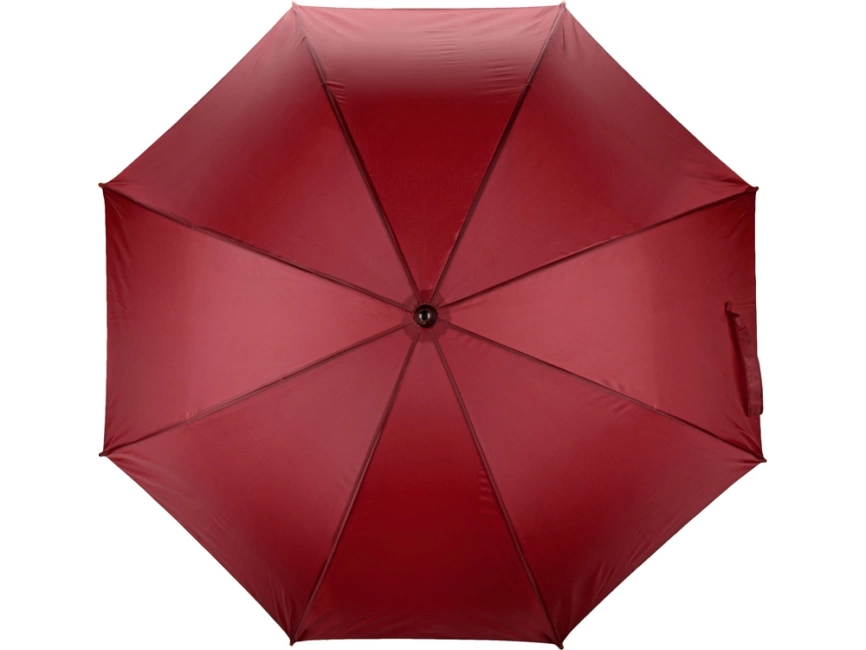 Зонт-трость Радуга, бордовый фото 8