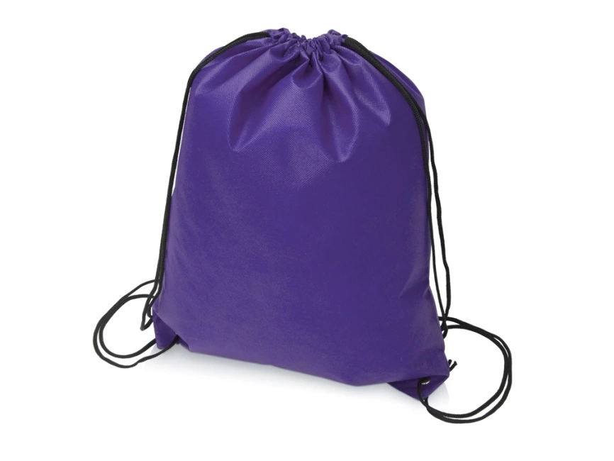 Рюкзак-мешок Пилигрим, фиолетовый фото 1