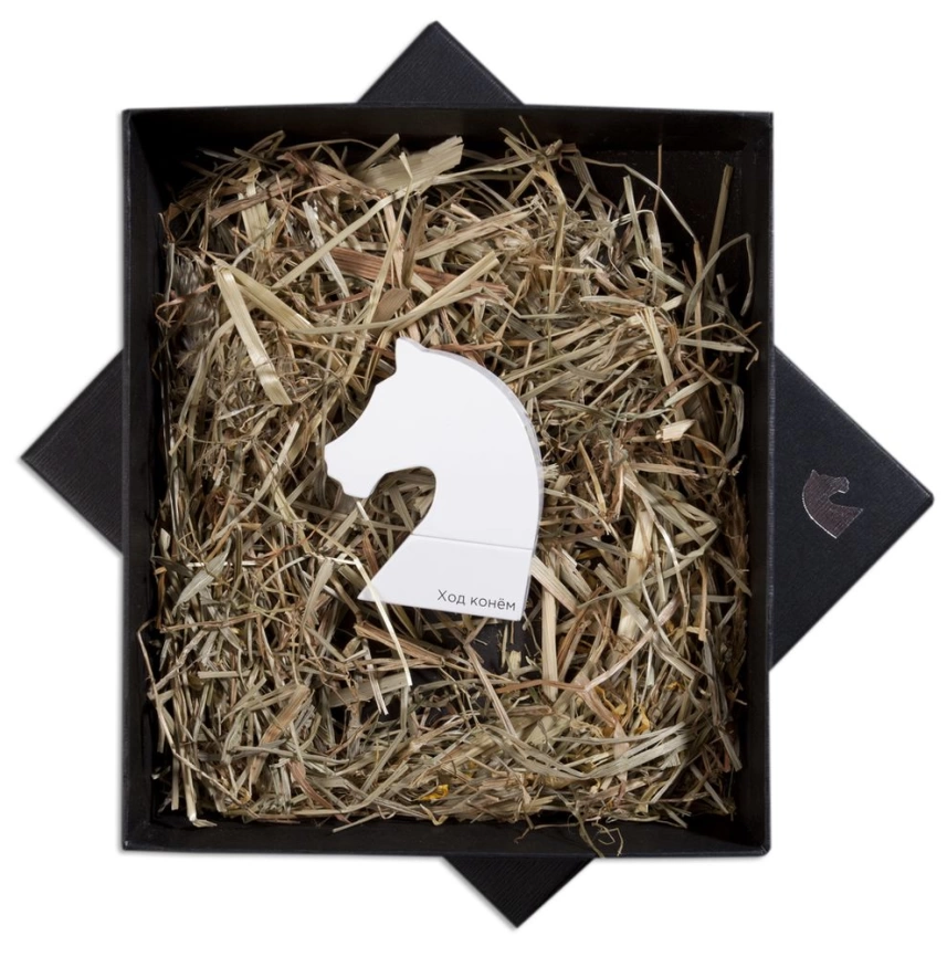 Флешка «Ход конем», 8 Гб, белая фото 1