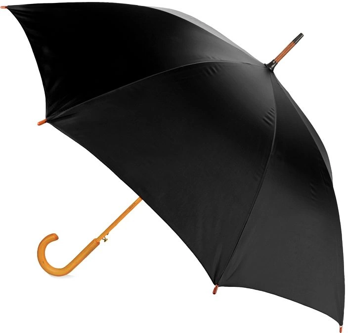 Зонт-трость Arwood - Черный AA фото 2