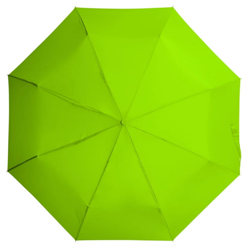 Набор Umbrella Academy, зеленый фото 5