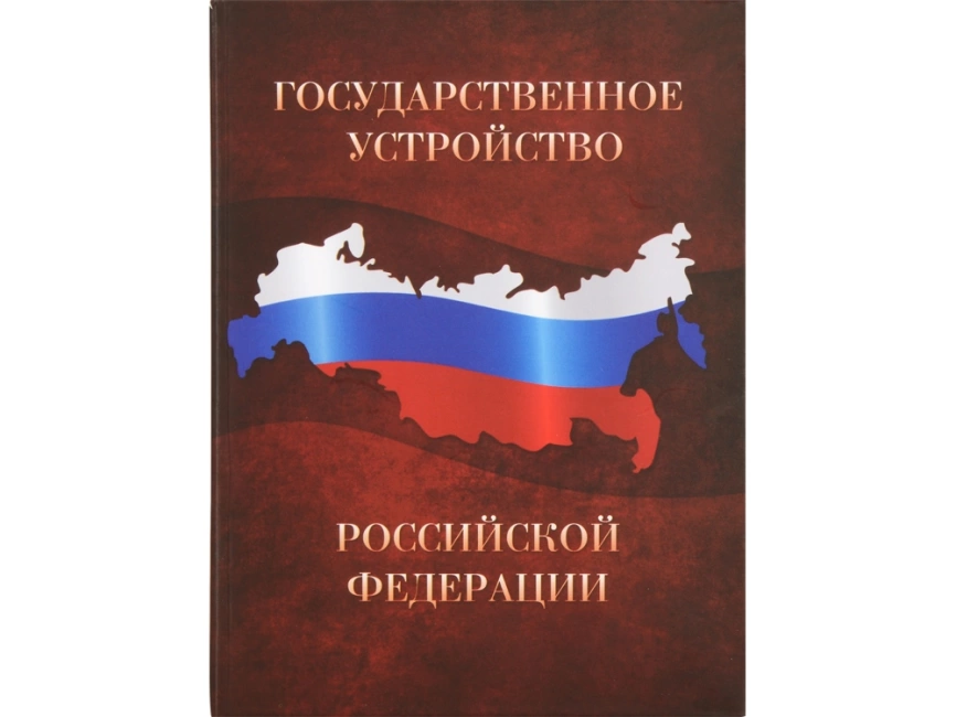 Часы Государственное устройство Российской Федерации, коричневый/бордовый фото 4