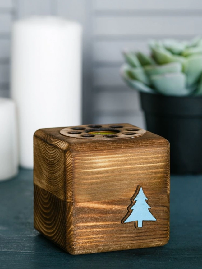 Набор для выращивания с органайзером «Экокуб Burn», ель голубая фото 3