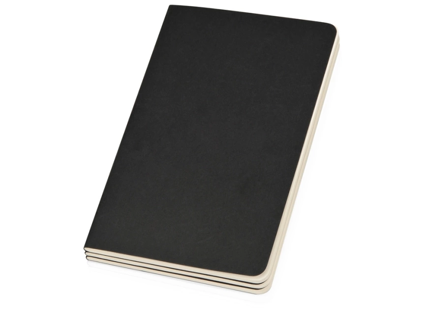 Записная книжка Moleskine Cahier (нелинованный, 3 шт.), Large (13х21см), черный фото 2