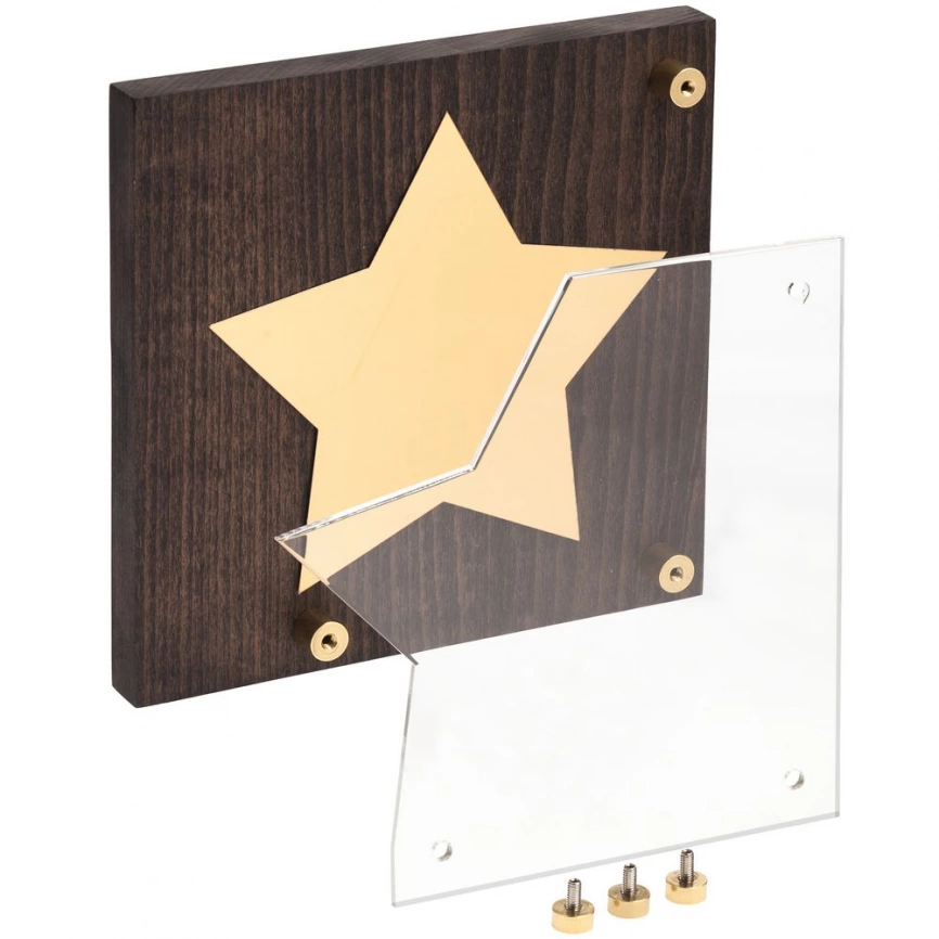 Награда Asteri Dark Gold фото 2
