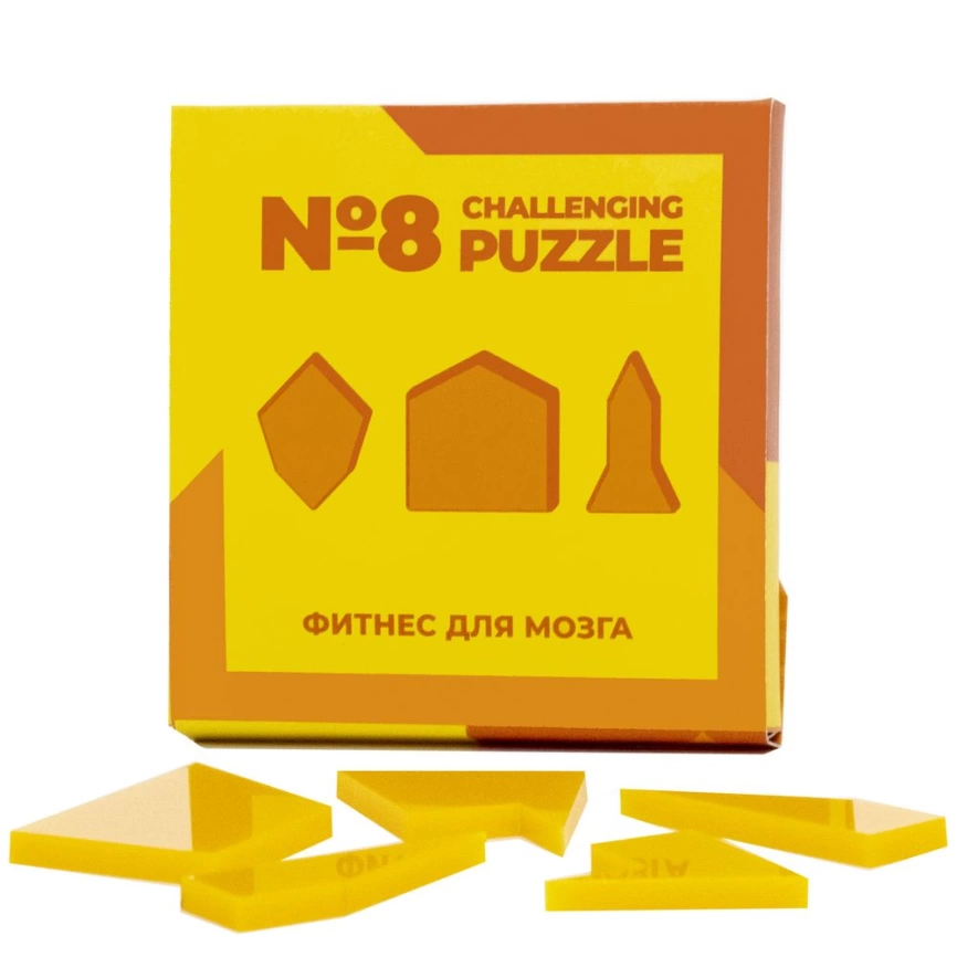 Головоломка Challenging Puzzle Acrylic, модель 8 фото 1
