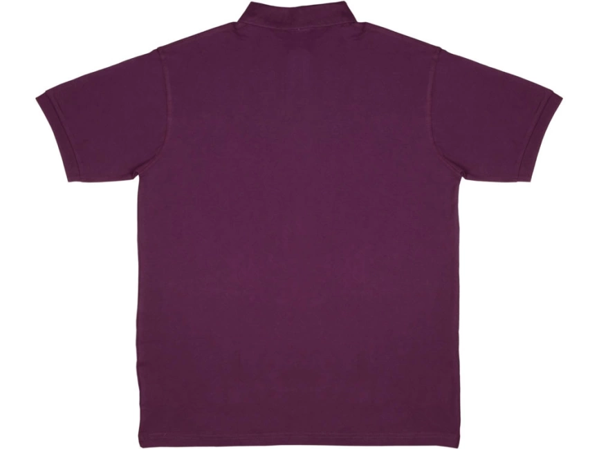 Рубашка поло Boston мужская, темно-фиолетовый фото 2