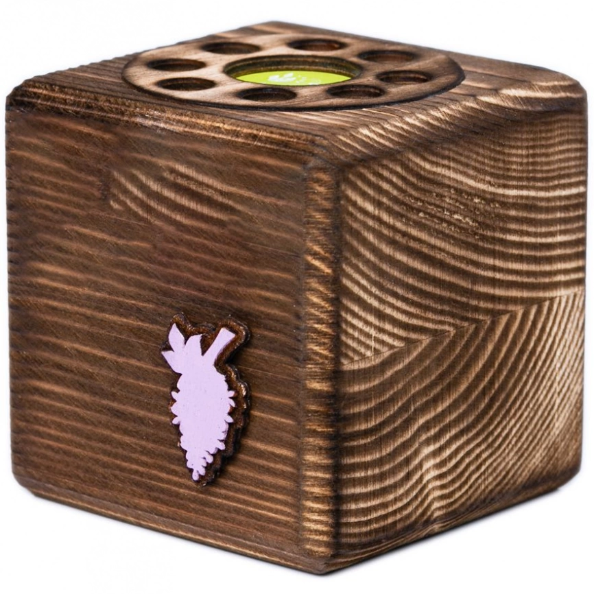 Набор для выращивания с органайзером «Экокуб Burn», сирень фото 2