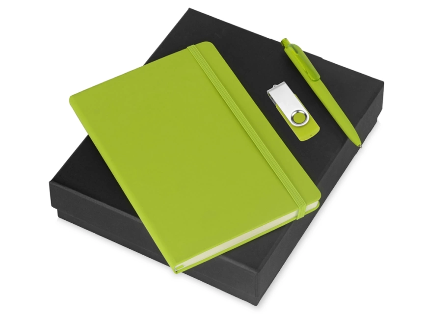 Подарочный набор Vision Pro Plus soft-touch с флешкой, ручкой и блокнотом А5, зеленый фото 1
