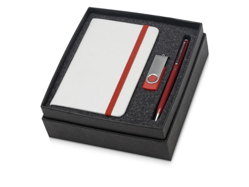 Подарочный набор Reporter Plus с флешкой, ручкой и блокнотом А6, красный фото 1