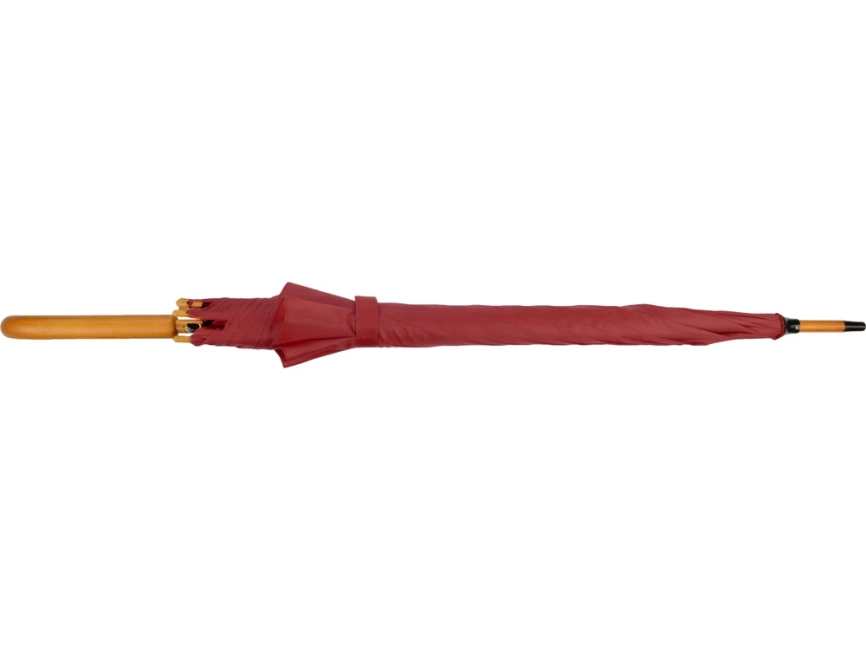 Зонт-трость Радуга, бордовый фото 5