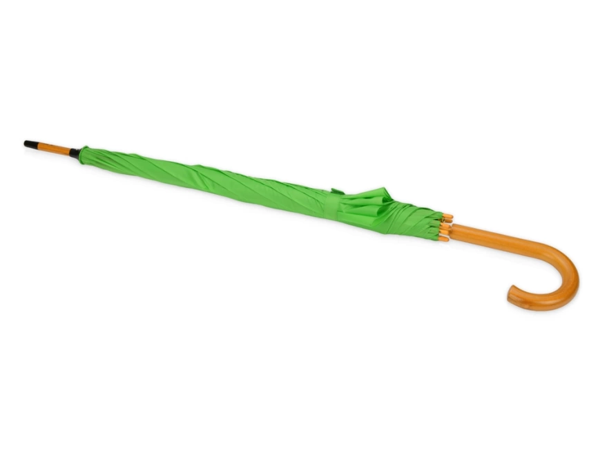 Зонт-трость Радуга, зеленое яблоко фото 3