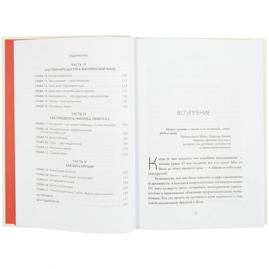 Книга «НИ СЫ» фото 6