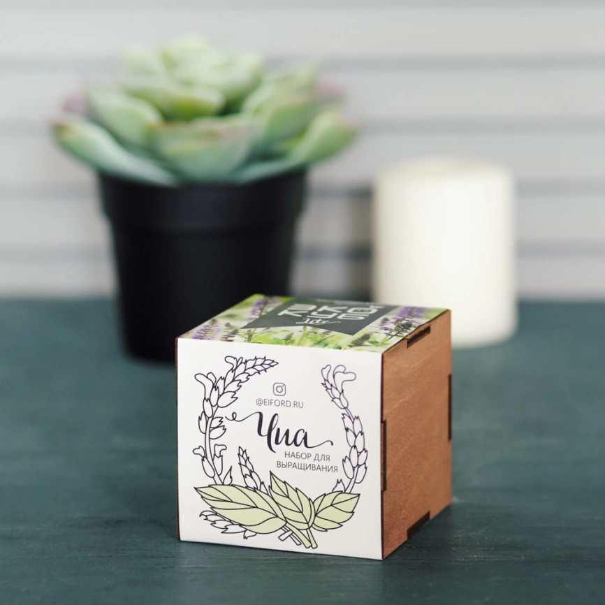 Набор для выращивания «Экокуб Lite», чиа фото 3