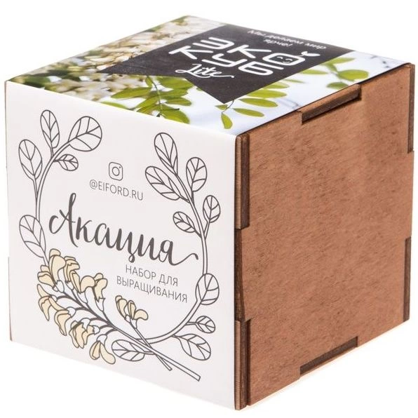 Набор для выращивания «Экокуб Lite», акация фото 1
