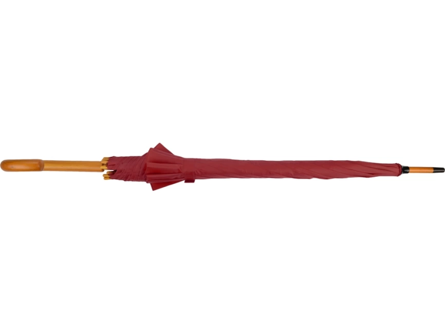 Зонт-трость Радуга, бордовый фото 7