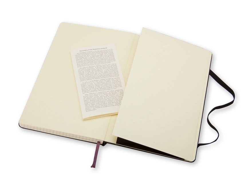 Записная книжка Moleskine Classic (в клетку) в твердой обложке, Large (13х21см), черный фото 4