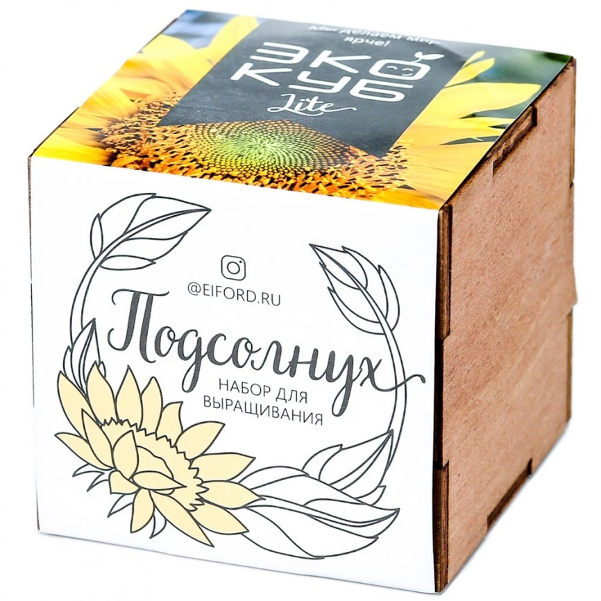 Набор для выращивания «Экокуб Lite», подсолнух фото 1
