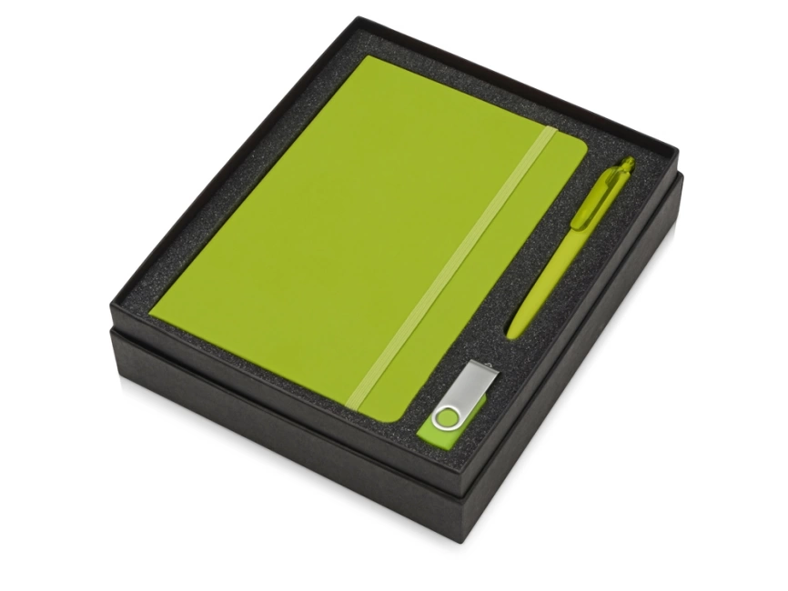 Подарочный набор Vision Pro Plus soft-touch с флешкой, ручкой и блокнотом А5, зеленый фото 2