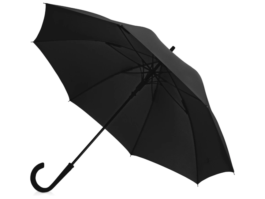 Зонт-трость Bergen, полуавтомат, черный фото 1