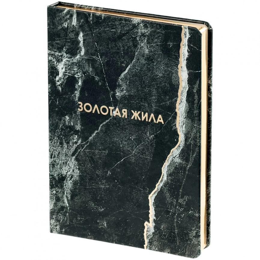 Ежедневник «Золотая Жила» фото 2