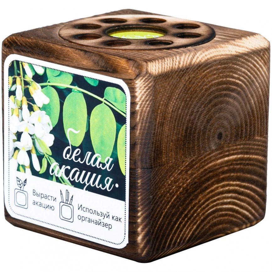 Набор для выращивания с органайзером «Экокуб Burn», акация фото 1