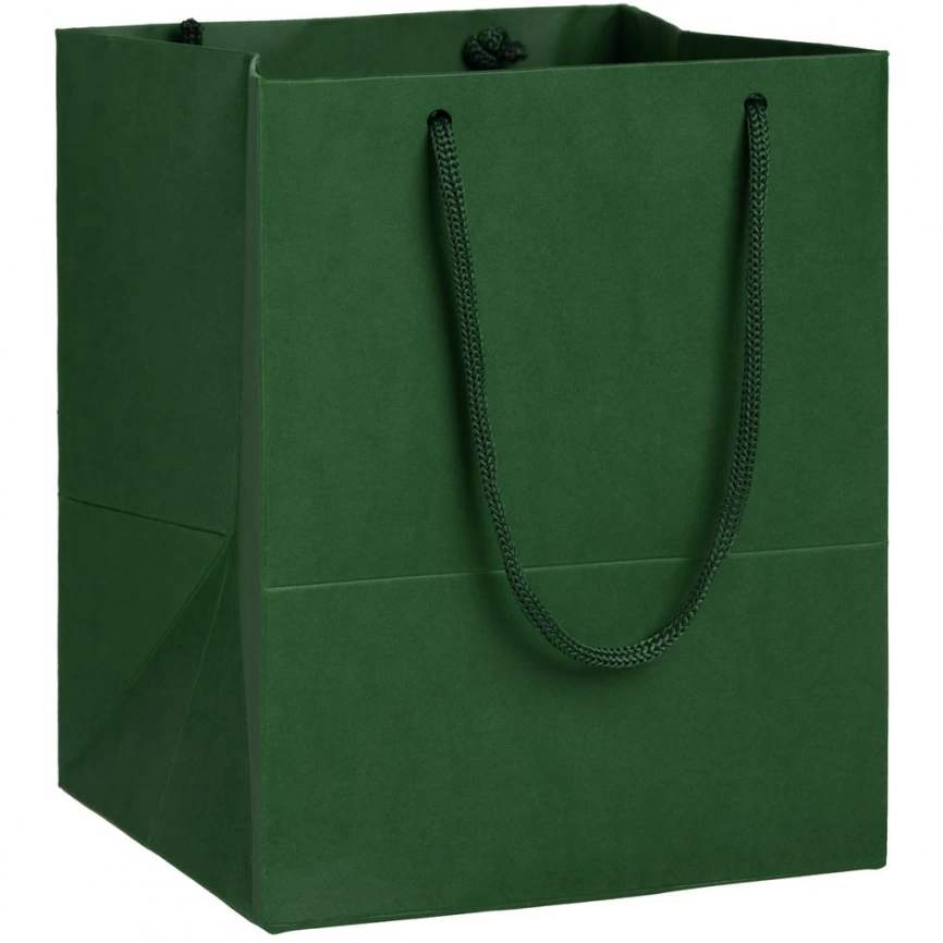 Пакет Ample S, зеленый фото 1