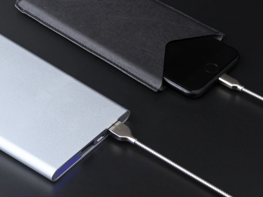 Внешний аккумулятор Rombica NEO AX100L, 10 000 мАч, алюминий, серебристый, чехол фото 7