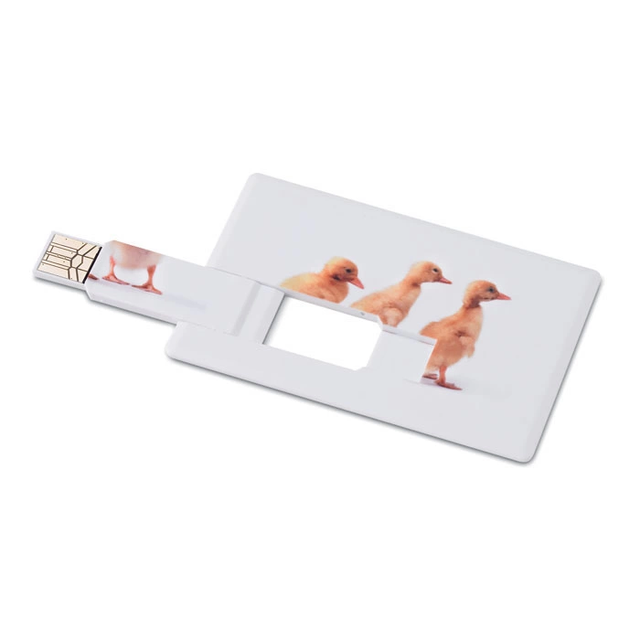 Creditcard. USB flash      4GB MO1059-06 фото 1