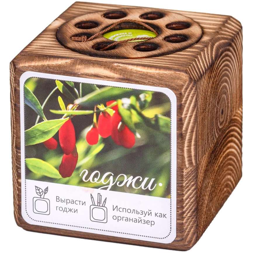 Набор для выращивания с органайзером «Экокуб Burn», годжи фото 7