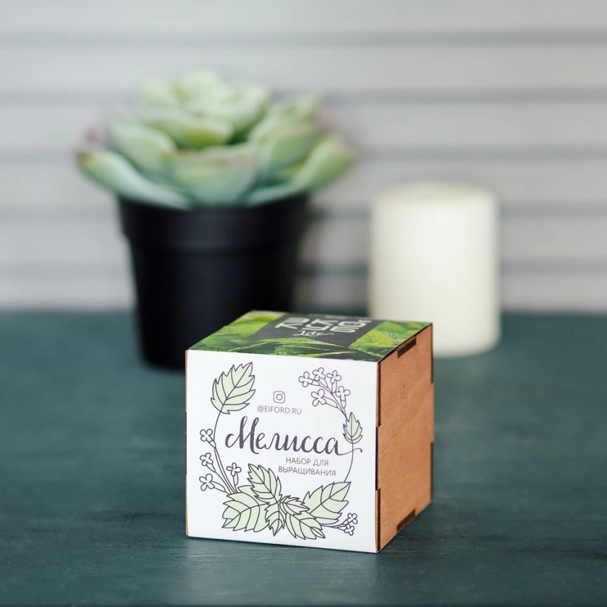 Набор для выращивания «Экокуб Lite», мелисса фото 2