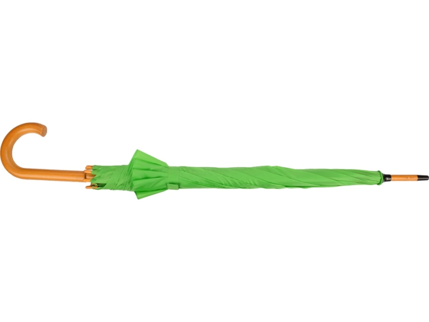 Зонт-трость Радуга, зеленое яблоко фото 4